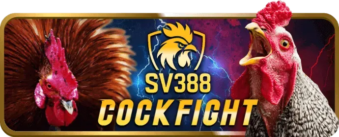 Hỗ trợ 24/7 85bet