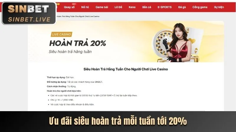 Ưu đãi hoàn trả thể thao và casino 85BET